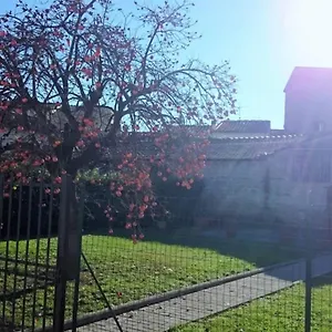 La Casa Di Lucia - Apartment